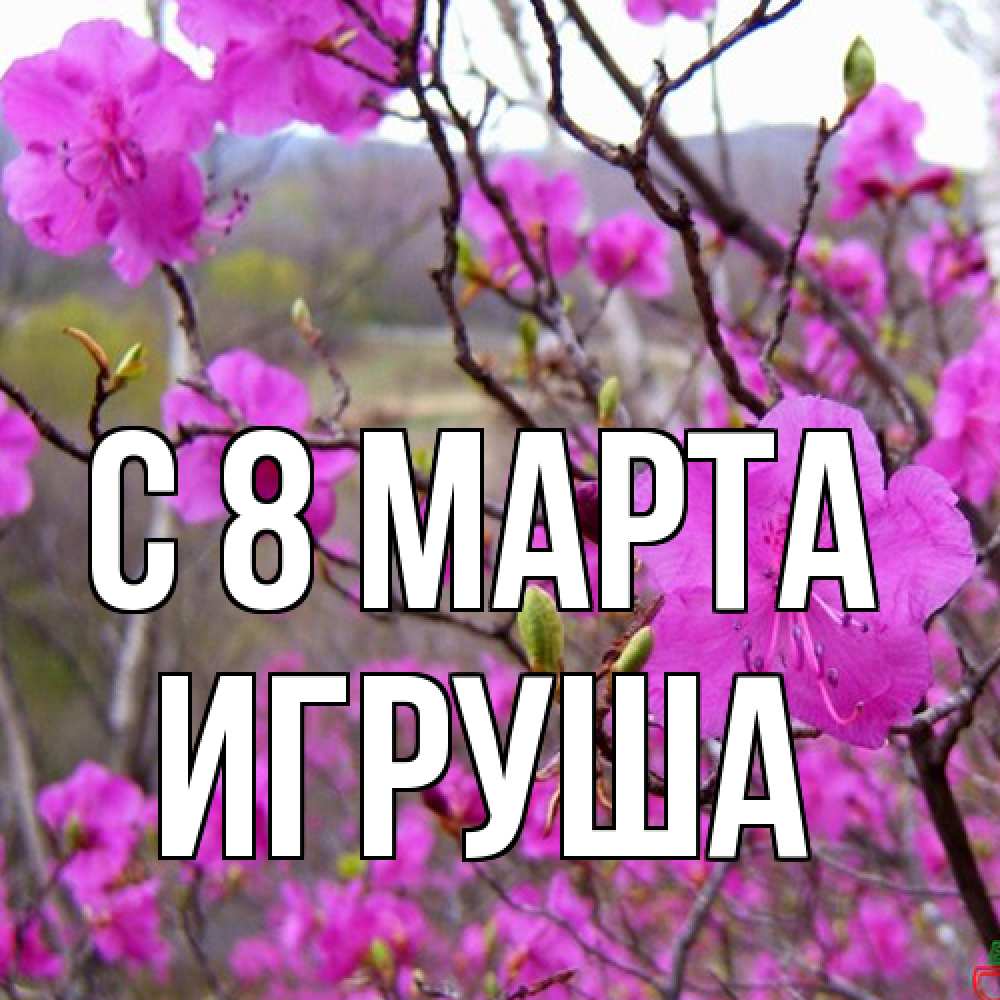Открытка на каждый день с именем, Игруша C 8 МАРТА международный женский день Прикольная открытка с пожеланием онлайн скачать бесплатно 