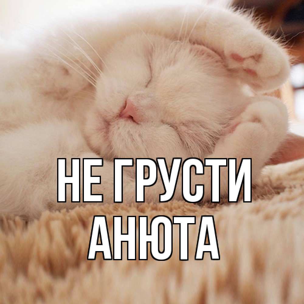 Открытка на каждый день с именем, Анюта Не грусти белый кот Прикольная открытка с пожеланием онлайн скачать бесплатно 