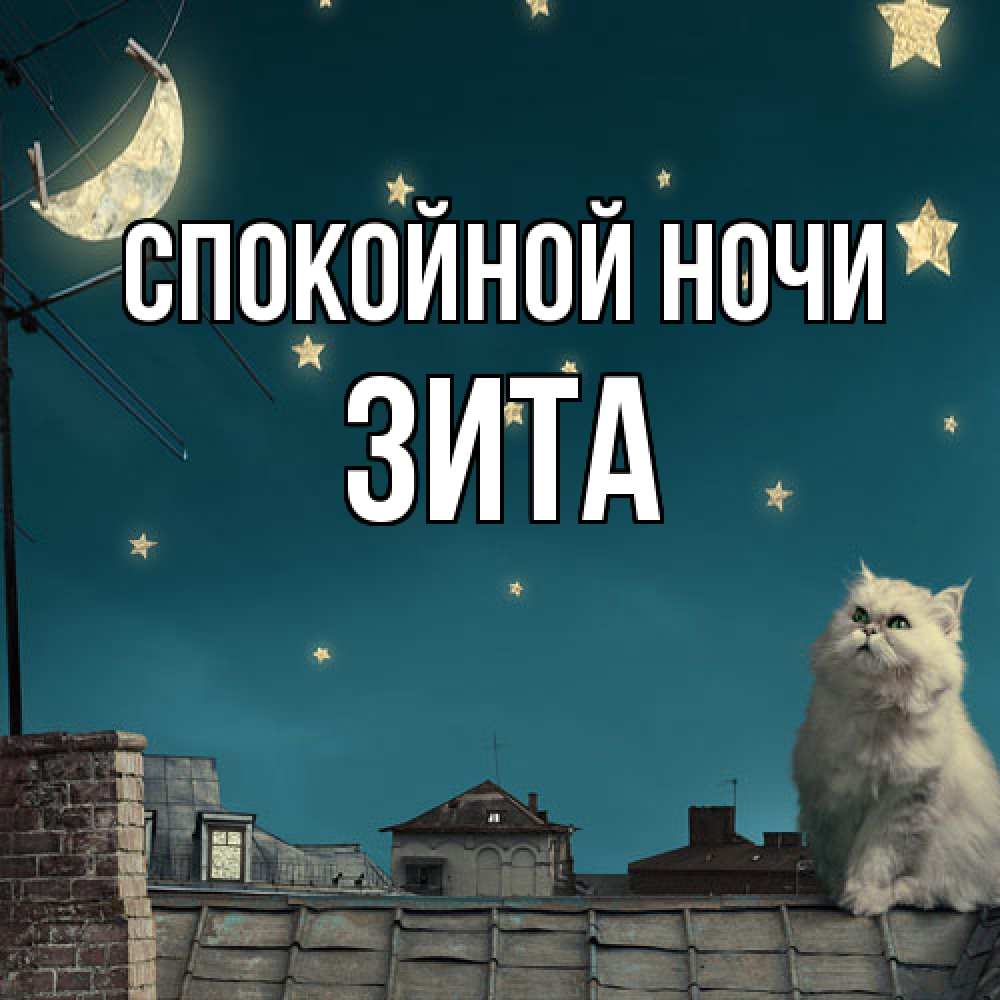 Открытка на каждый день с именем, Зита Спокойной ночи белый кот сидит на крыше Прикольная открытка с пожеланием онлайн скачать бесплатно 