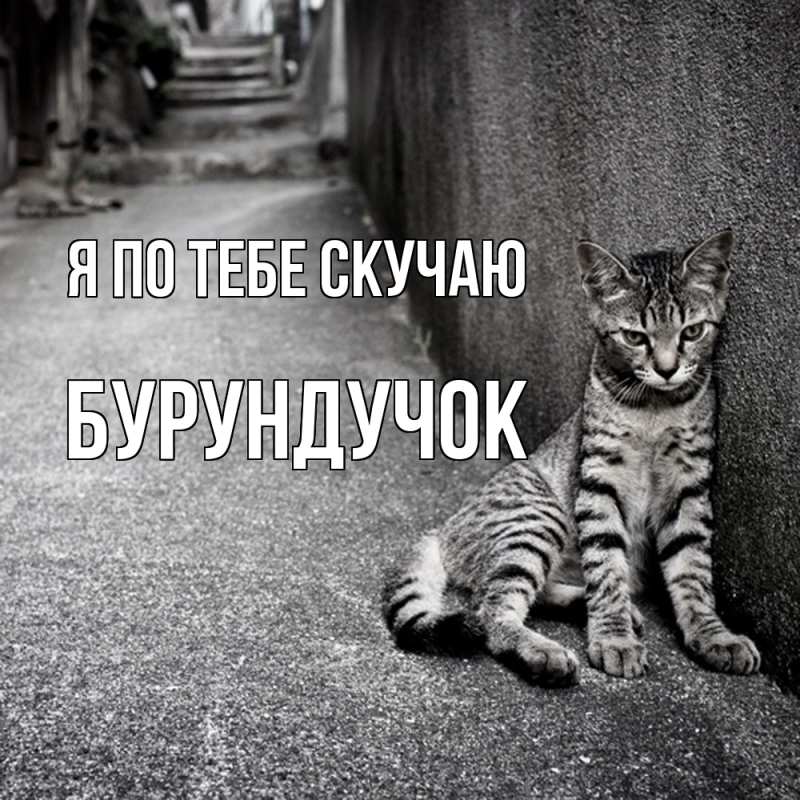 Картинка Я по тебе скучаю, бурундучок