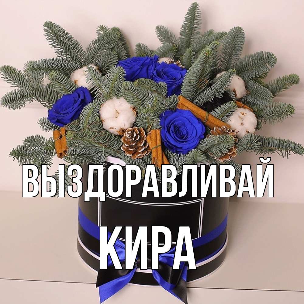 Открытка на каждый день с именем, Кира Выздоравливай короче кто то загрузил эти шишки Прикольная открытка с пожеланием онлайн скачать бесплатно 