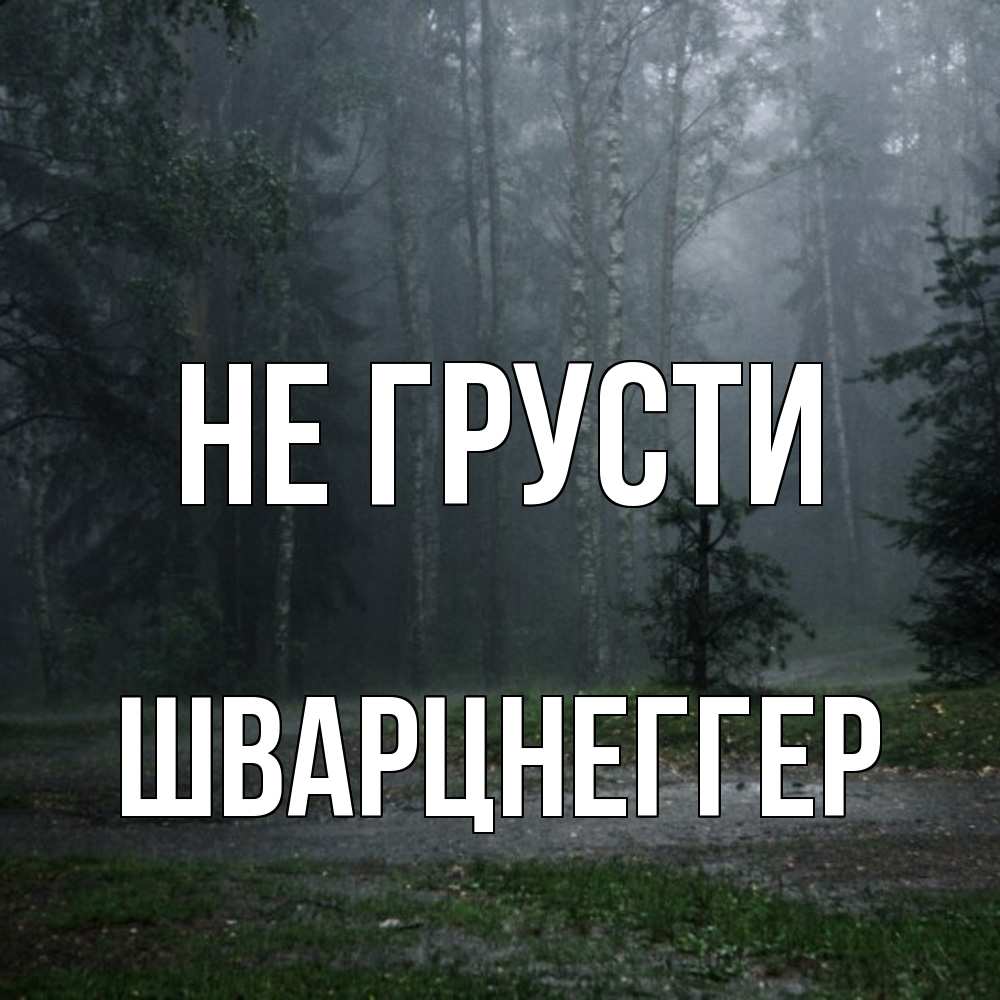 Открытка на каждый день с именем, Шварцнеггер Не грусти осень Прикольная открытка с пожеланием онлайн скачать бесплатно 