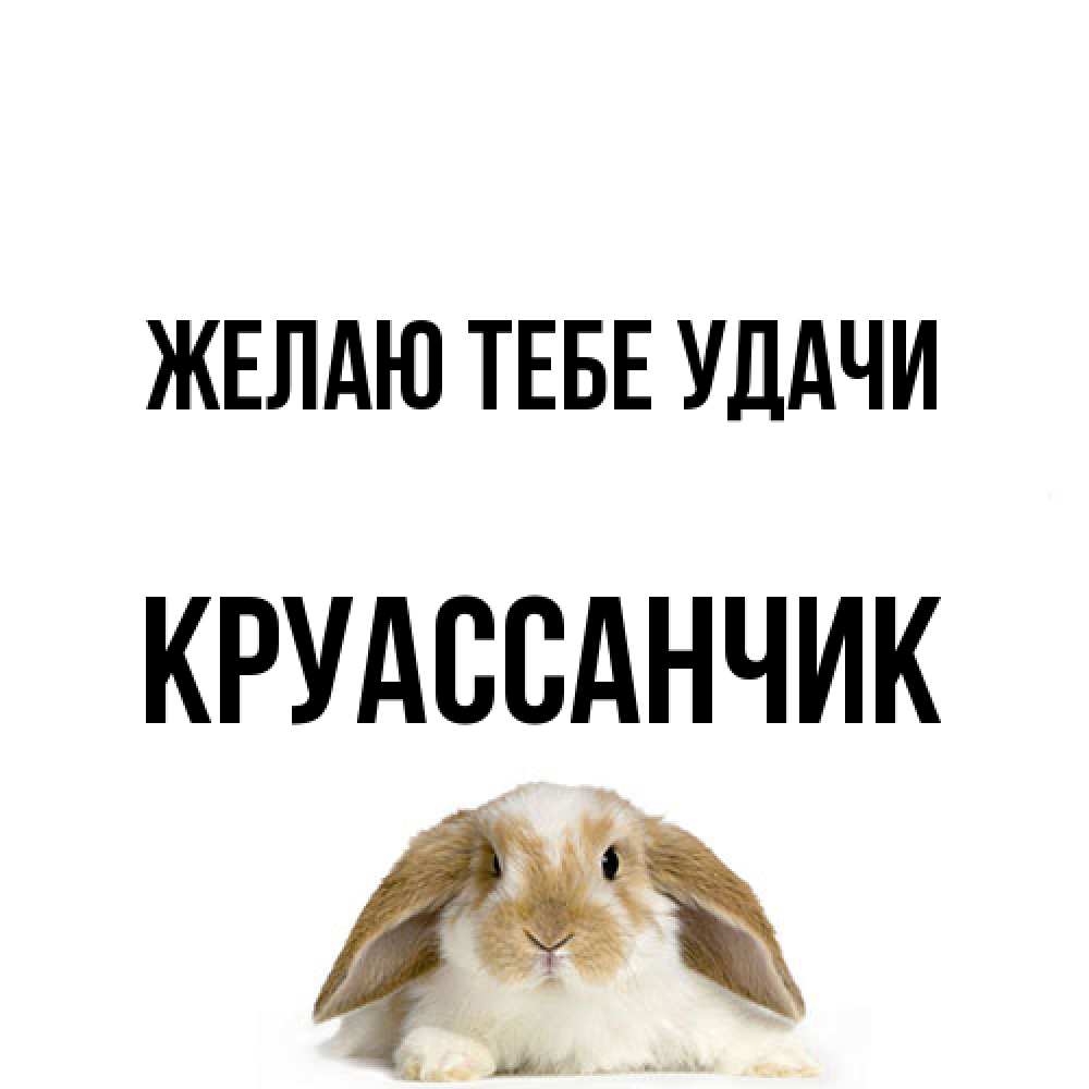 Открытка на каждый день с именем, круассанчик Желаю тебе удачи открытки с произвольным текстом который можно вставить в открытку и создать ее самостоятельно бесплатно онлайн Прикольная открытка с пожеланием онлайн скачать бесплатно 