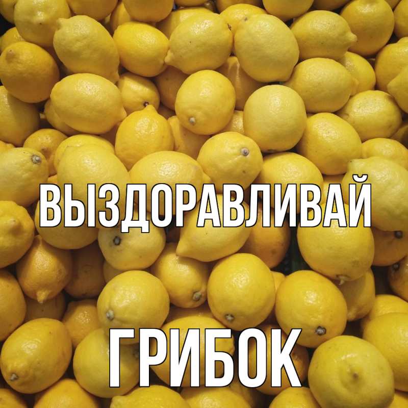 Картинка Выздоравливай, Грибок