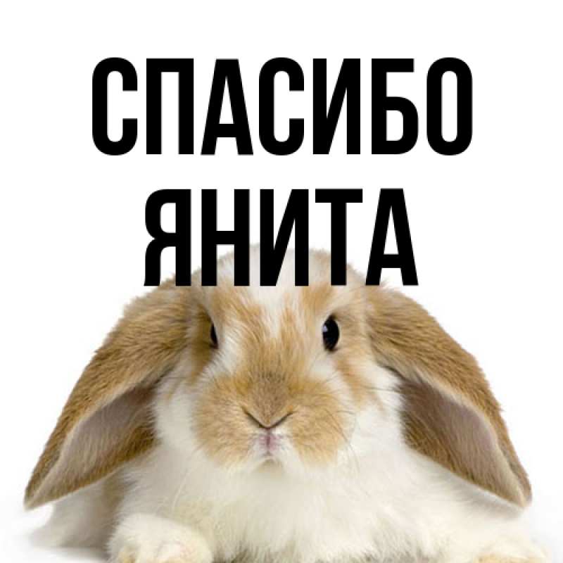 Картинка Спасибо, Янита