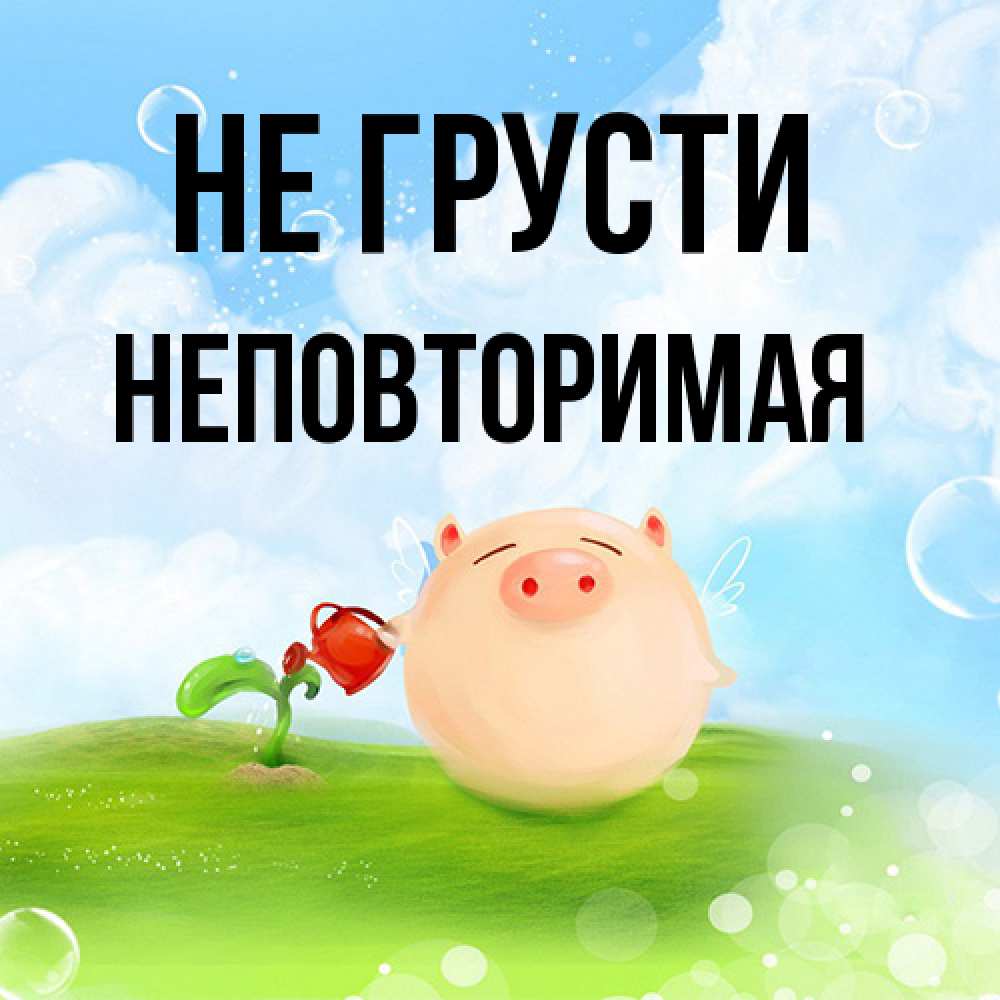 Открытка на каждый день с именем, Неповторимая Не грусти поливает цветок порося Прикольная открытка с пожеланием онлайн скачать бесплатно 