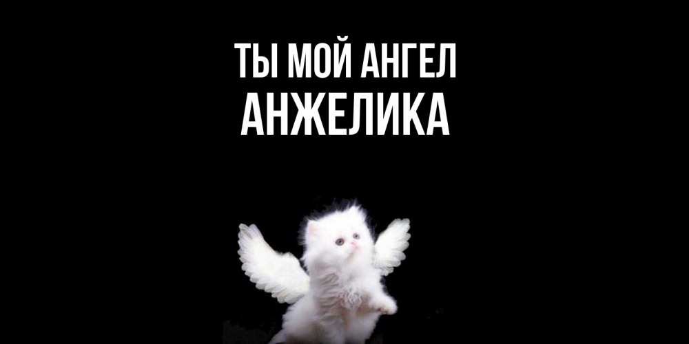 Открытка на каждый день с именем, Анжелика Ты мой ангел Кот ангел Прикольная открытка с пожеланием онлайн скачать бесплатно 