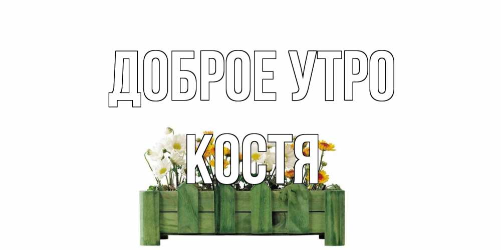 Открытка на каждый день с именем, Костя Доброе утро цветы Прикольная открытка с пожеланием онлайн скачать бесплатно 