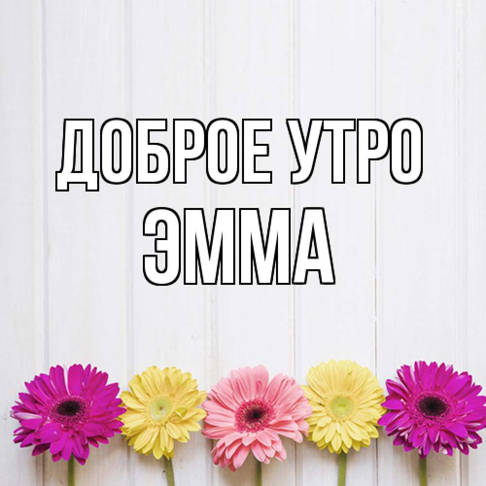 Открытка на каждый день с именем, Эмма Доброе утро красный желтый и розовый цветок Прикольная открытка с пожеланием онлайн скачать бесплатно 