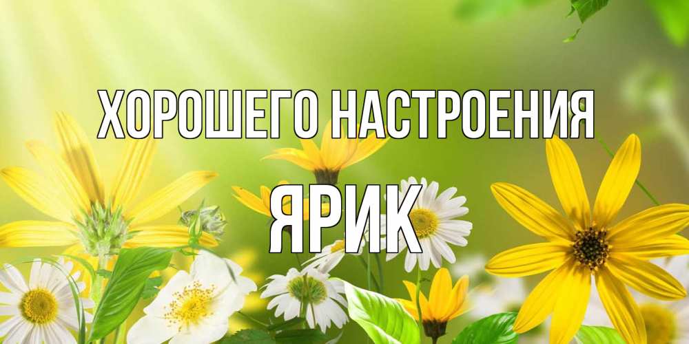 Открытка на каждый день с именем, Ярик Хорошего настроения цветы Прикольная открытка с пожеланием онлайн скачать бесплатно 