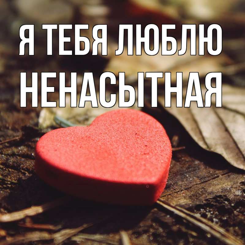 Картинка Я тебя люблю, Ненасытная