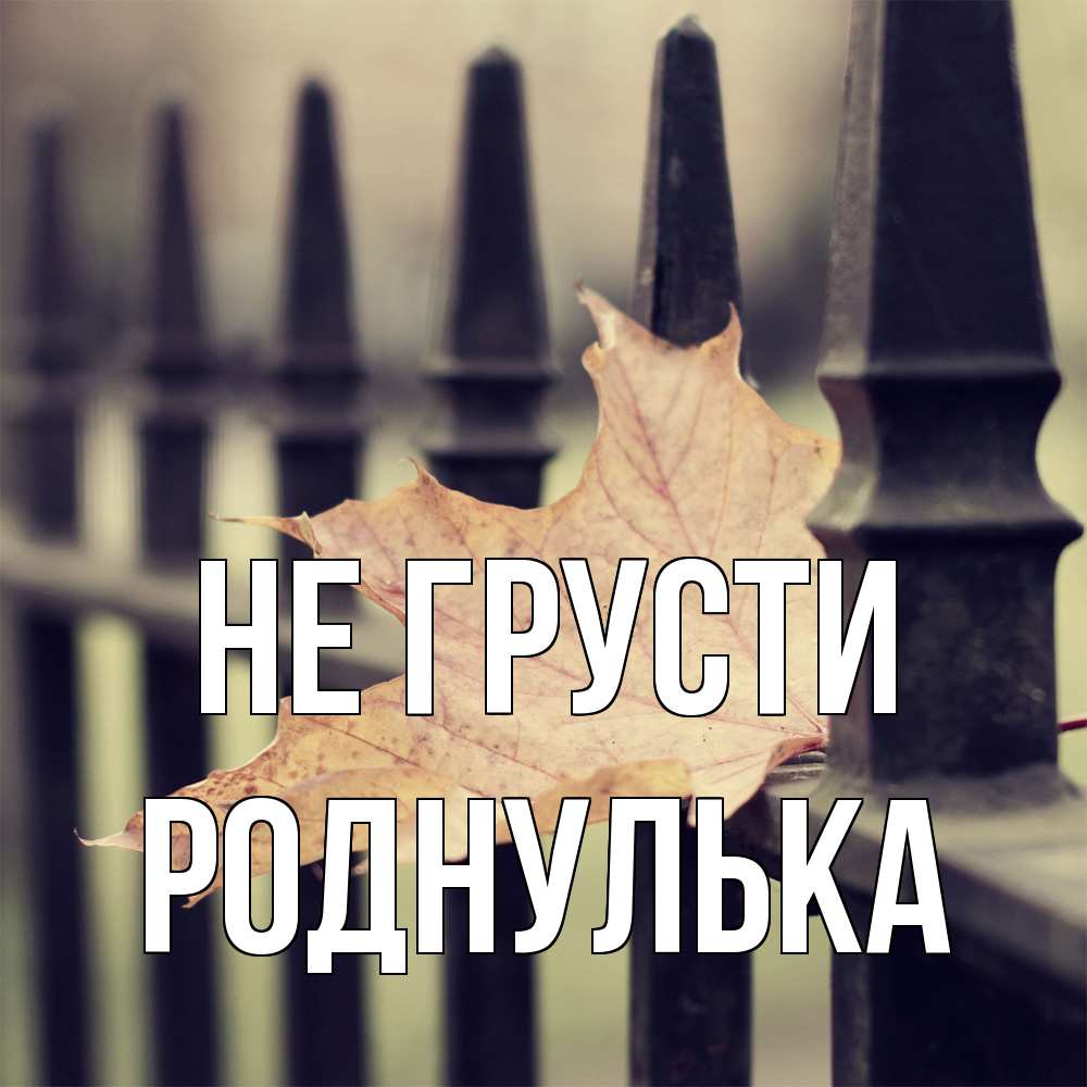 Открытка на каждый день с именем, Роднулька Не грусти лист клена Прикольная открытка с пожеланием онлайн скачать бесплатно 