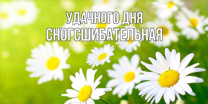 Картинка Удачного дня, сногсшибательная
