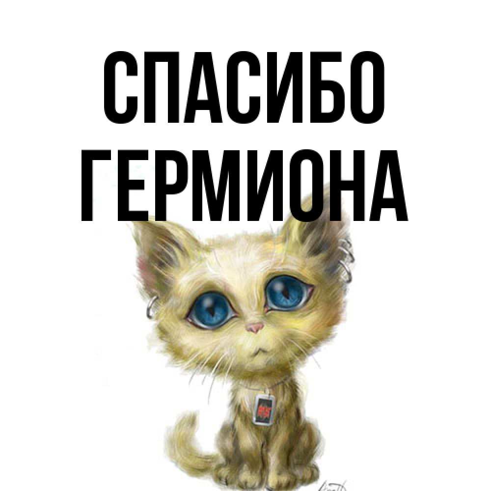 Открытка на каждый день с именем, Гермиона Спасибо рисованный кот благодарит вас Прикольная открытка с пожеланием онлайн скачать бесплатно 