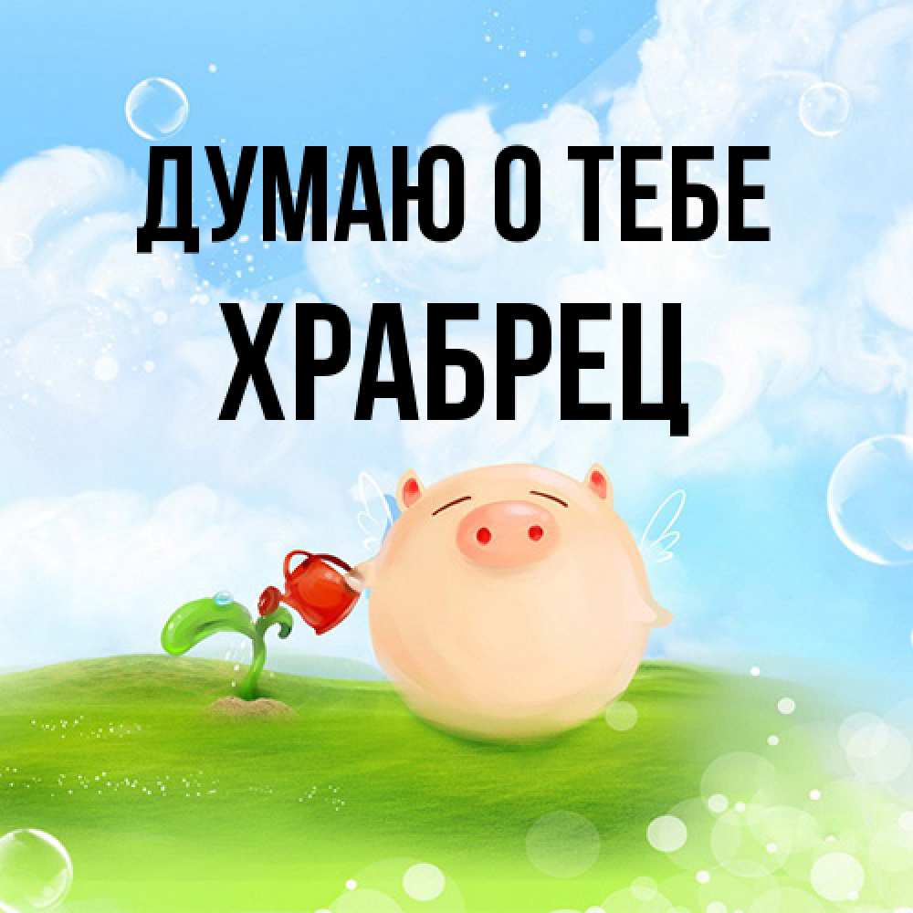 Открытка на каждый день с именем, Храбрец Думаю о тебе позитивная свинюшка Прикольная открытка с пожеланием онлайн скачать бесплатно 