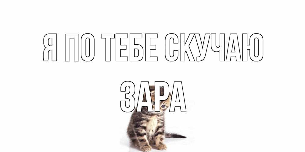 Открытка на каждый день с именем, Зара Я по тебе скучаю кот Прикольная открытка с пожеланием онлайн скачать бесплатно 
