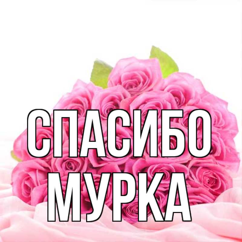 Открытка с именем, Мурка, Спасибо
