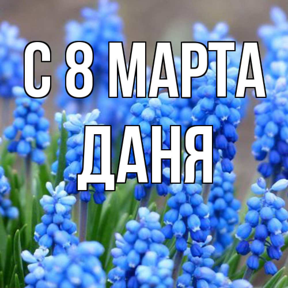Открытка на каждый день с именем, Даня C 8 МАРТА Поздравительная открытка для женщин с цветами на праздничную дату Прикольная открытка с пожеланием онлайн скачать бесплатно 