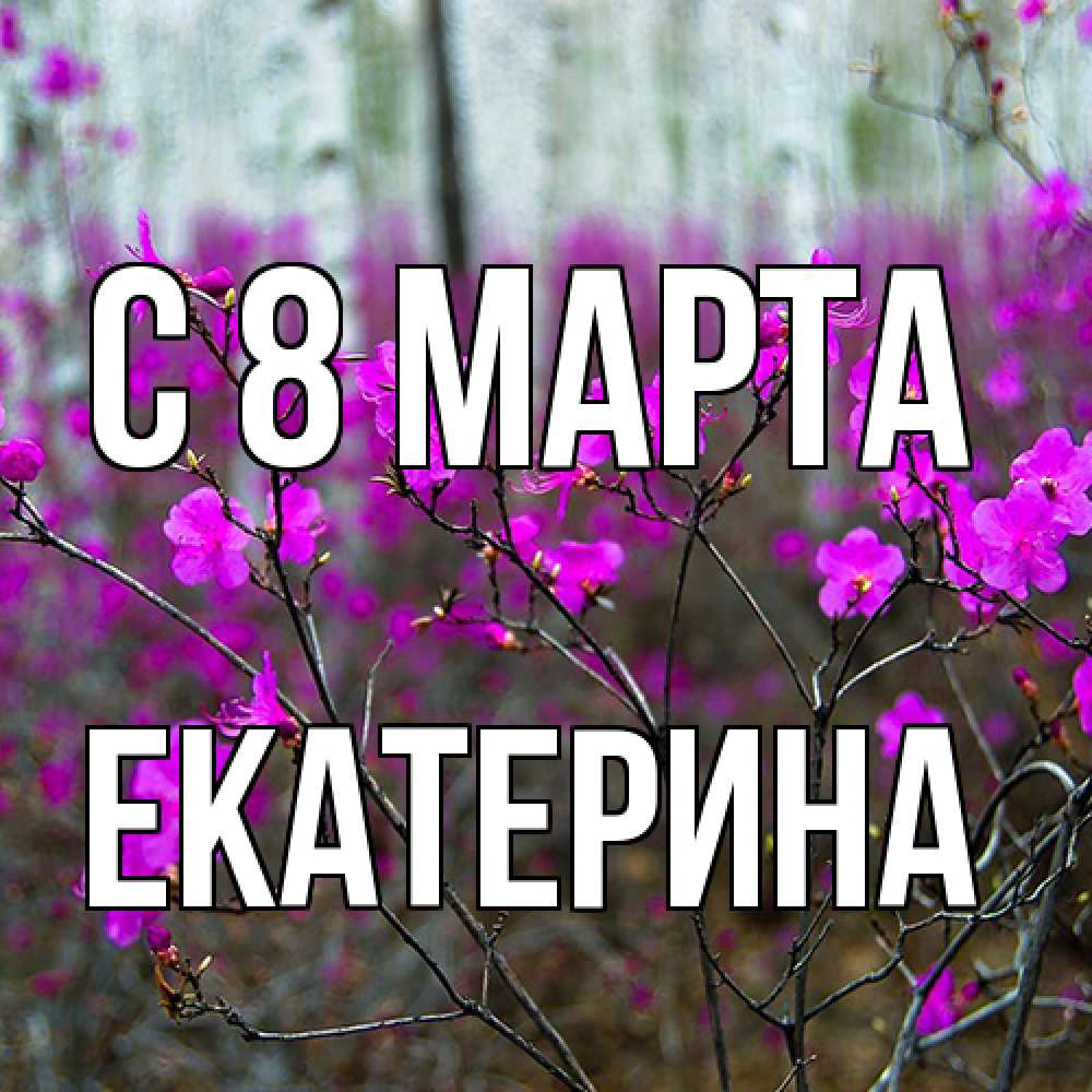 Открытка на каждый день с именем, Екатерина C 8 МАРТА дикие цветы Прикольная открытка с пожеланием онлайн скачать бесплатно 