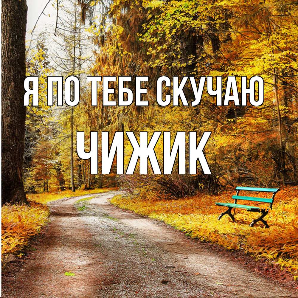 Открытка на каждый день с именем, Чижик Я по тебе скучаю зеленая лавочка и осенний лес Прикольная открытка с пожеланием онлайн скачать бесплатно 