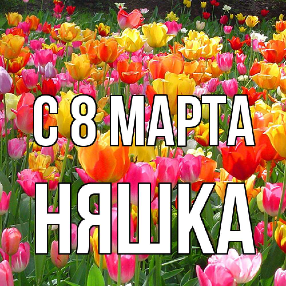 Открытка на каждый день с именем, Няшка C 8 МАРТА на международный женский день Прикольная открытка с пожеланием онлайн скачать бесплатно 