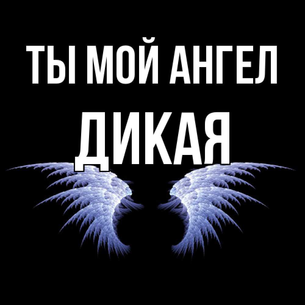 Открытка на каждый день с именем, дикая Ты мой ангел ангельские крылья на черном фоне Прикольная открытка с пожеланием онлайн скачать бесплатно 
