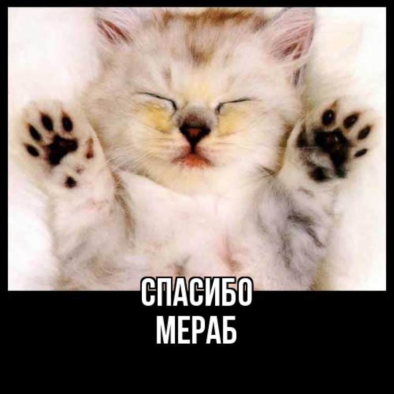 Картинка Спасибо, Мераб