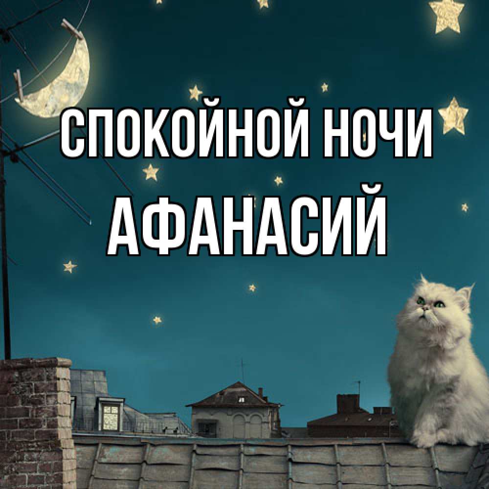 Открытка на каждый день с именем, Афанасий Спокойной ночи белый кот сидит на крыше Прикольная открытка с пожеланием онлайн скачать бесплатно 