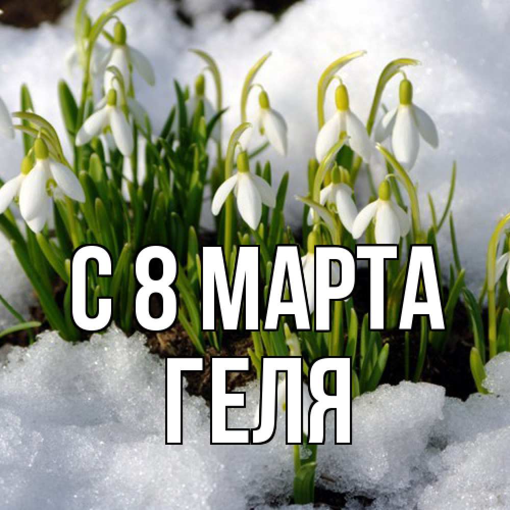 Открытка на каждый день с именем, Геля C 8 МАРТА цветы весенние Прикольная открытка с пожеланием онлайн скачать бесплатно 