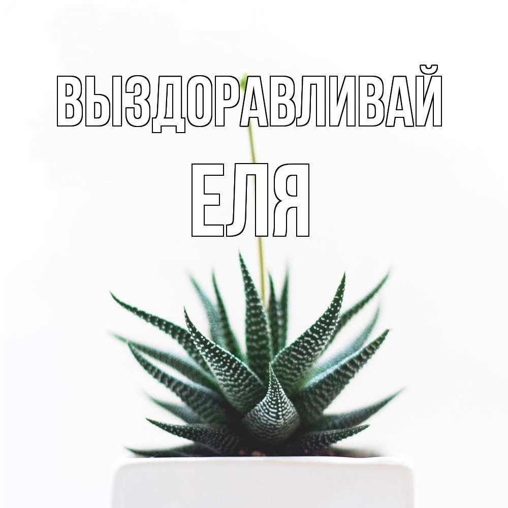 Открытка на каждый день с именем, Еля Выздоравливай короче это непонятная колючка Прикольная открытка с пожеланием онлайн скачать бесплатно 