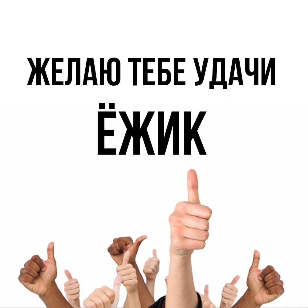 Открытка на каждый день с именем, Ёжик Желаю тебе удачи молодцом Прикольная открытка с пожеланием онлайн скачать бесплатно 