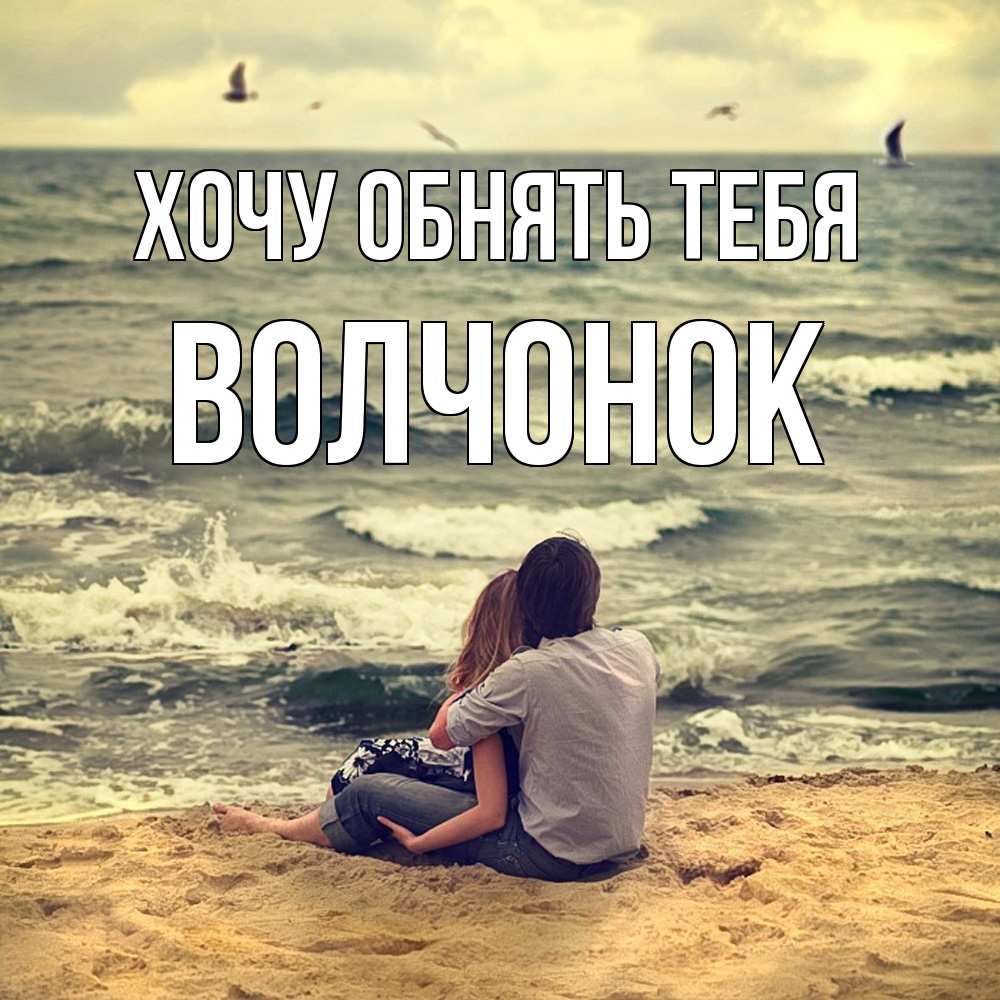 Открытка на каждый день с именем, Волчонок Хочу обнять тебя возлюбленные на песочке Прикольная открытка с пожеланием онлайн скачать бесплатно 