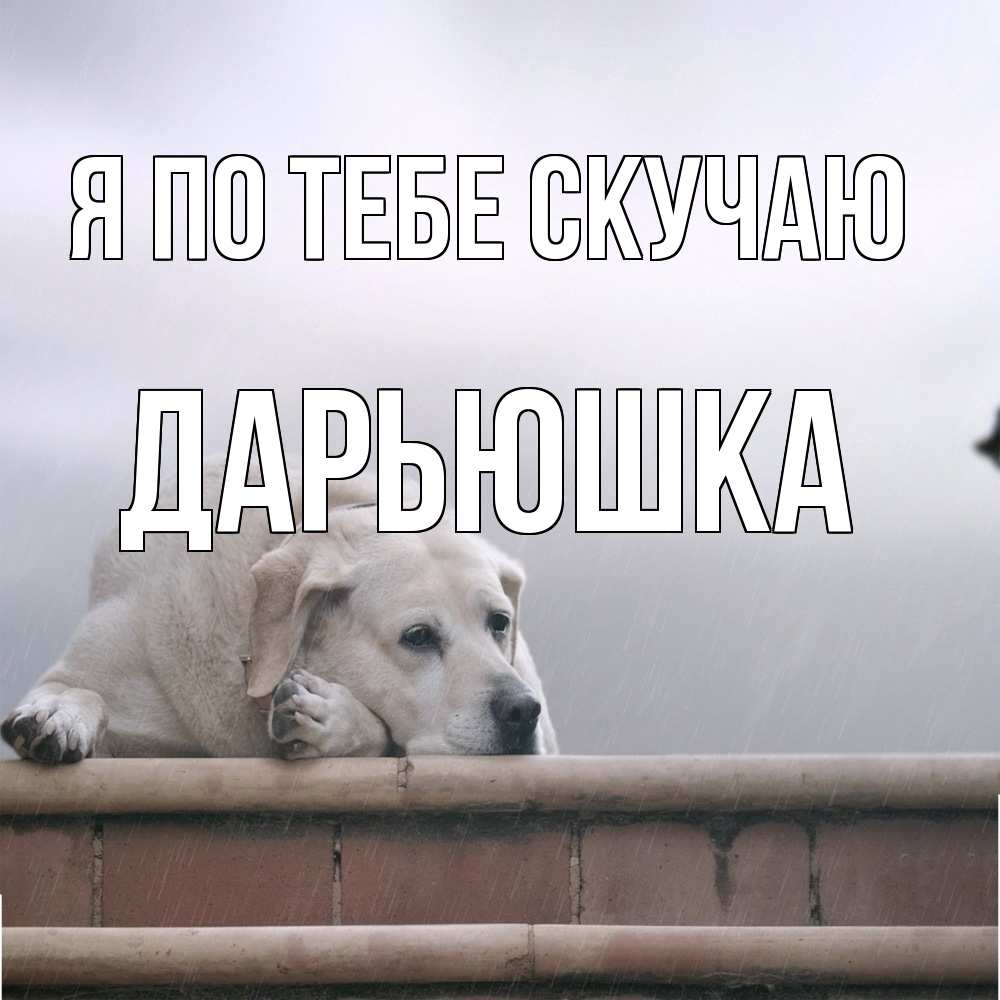 Открытка на каждый день с именем, Дарьюшка Я по тебе скучаю ждет Прикольная открытка с пожеланием онлайн скачать бесплатно 