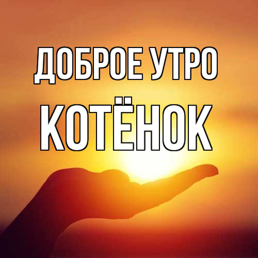 Открытка на каждый день с именем, Котёнок Доброе утро ладошка и закат Прикольная открытка с пожеланием онлайн скачать бесплатно 
