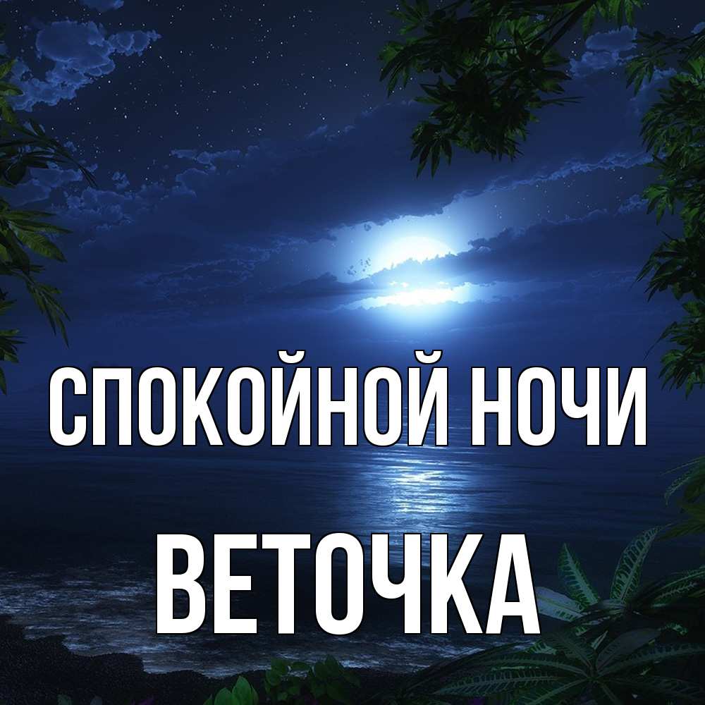 Открытка на каждый день с именем, Веточка Спокойной ночи тропический остров Прикольная открытка с пожеланием онлайн скачать бесплатно 