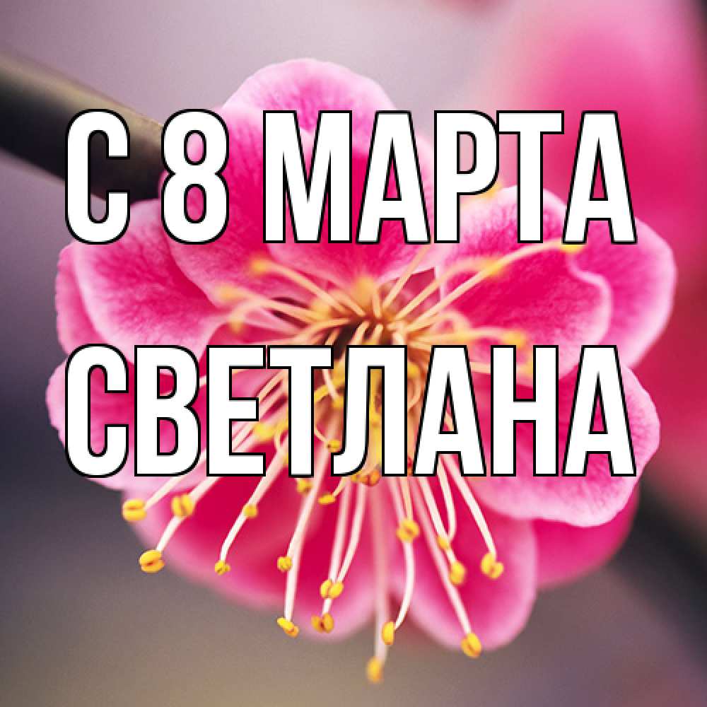 Открытка на каждый день с именем, Светлана C 8 МАРТА цветы Прикольная открытка с пожеланием онлайн скачать бесплатно 