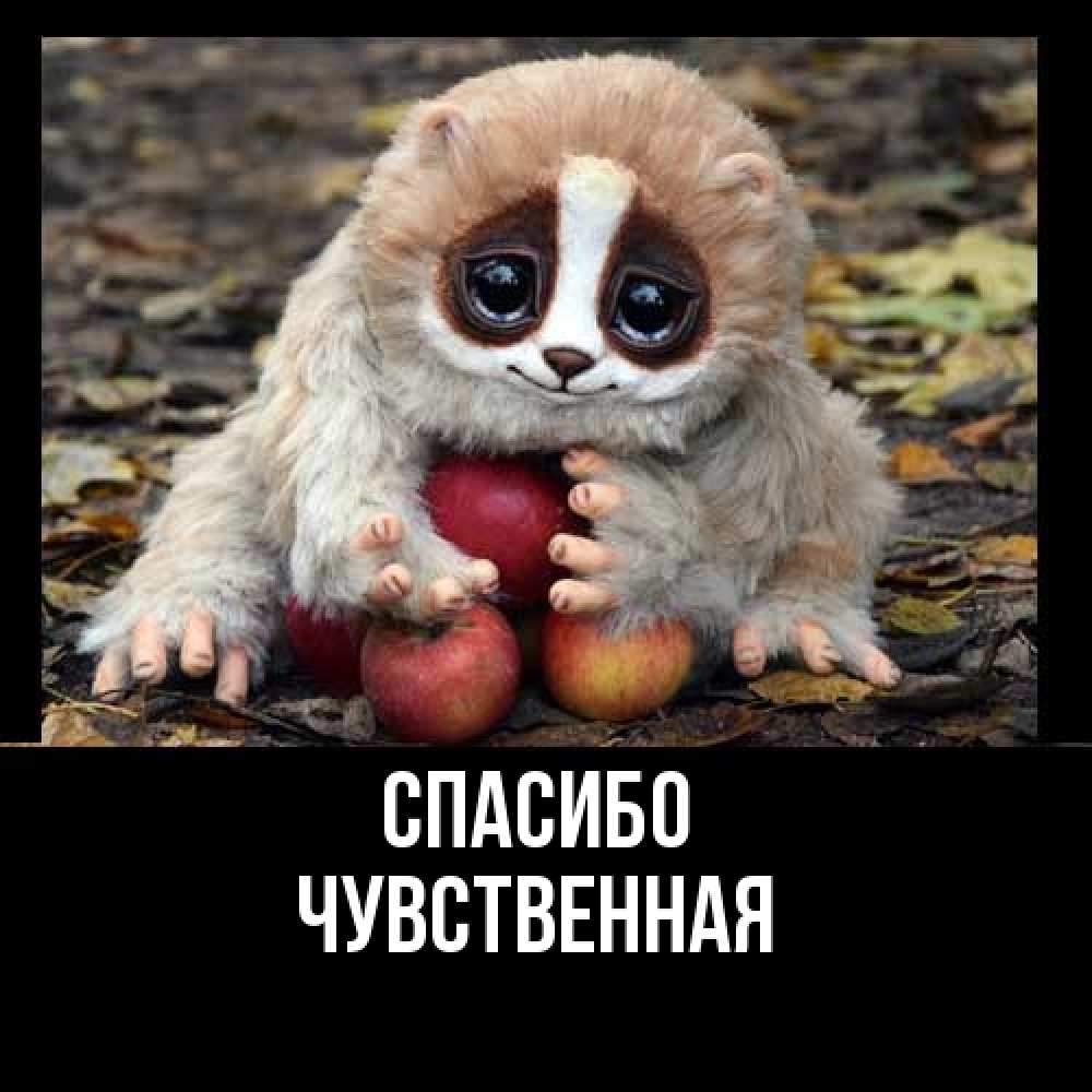 Открытка на каждый день с именем, Чувственная Спасибо прикольное животное Прикольная открытка с пожеланием онлайн скачать бесплатно 