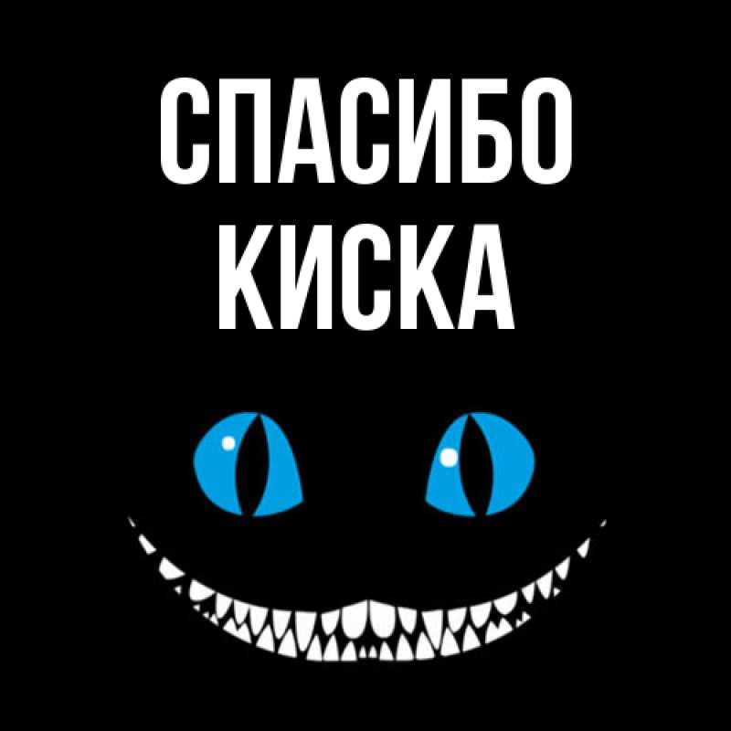 Картинка Спасибо, Киска