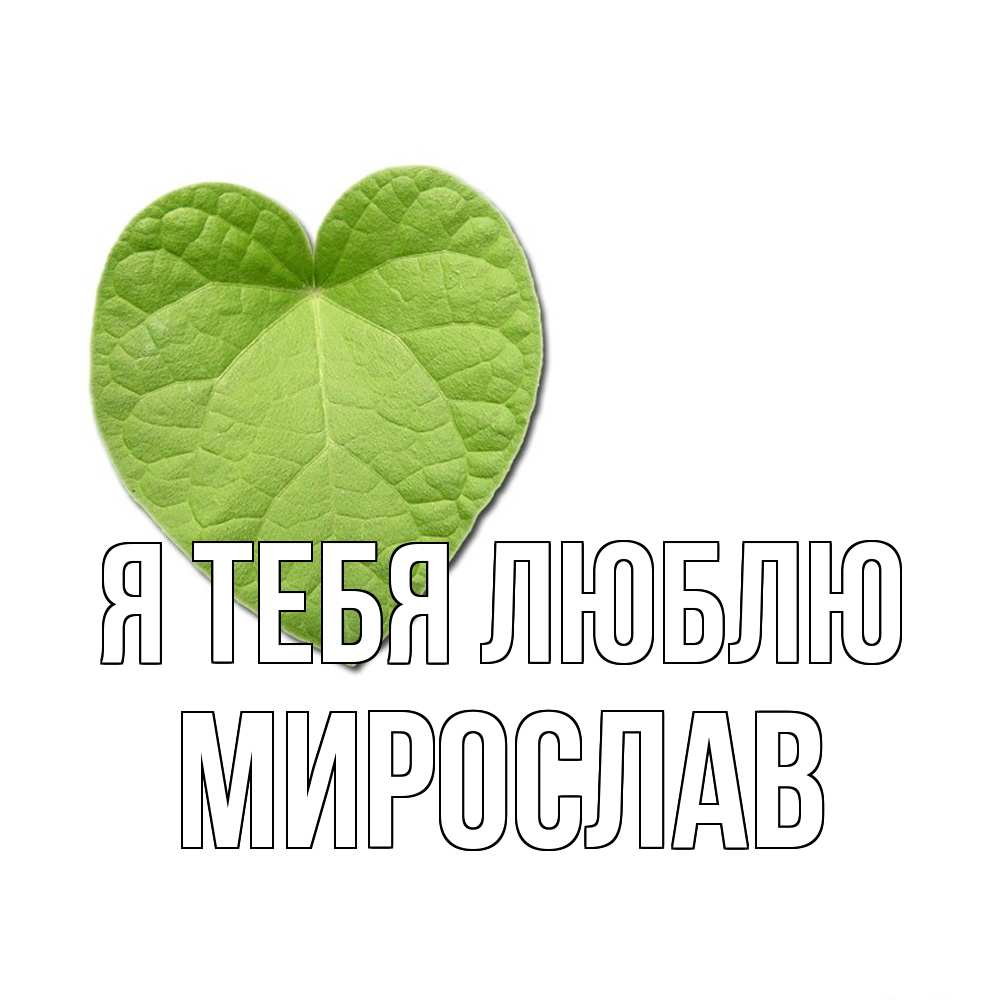Открытка на каждый день с именем, Мирослав Я тебя люблю тебе Прикольная открытка с пожеланием онлайн скачать бесплатно 