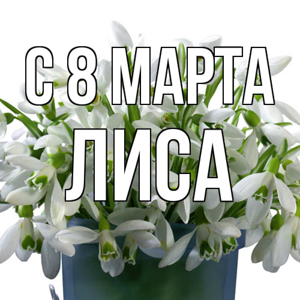 Открытка на каждый день с именем, лиса C 8 МАРТА цветы к международному женскому дню Прикольная открытка с пожеланием онлайн скачать бесплатно 