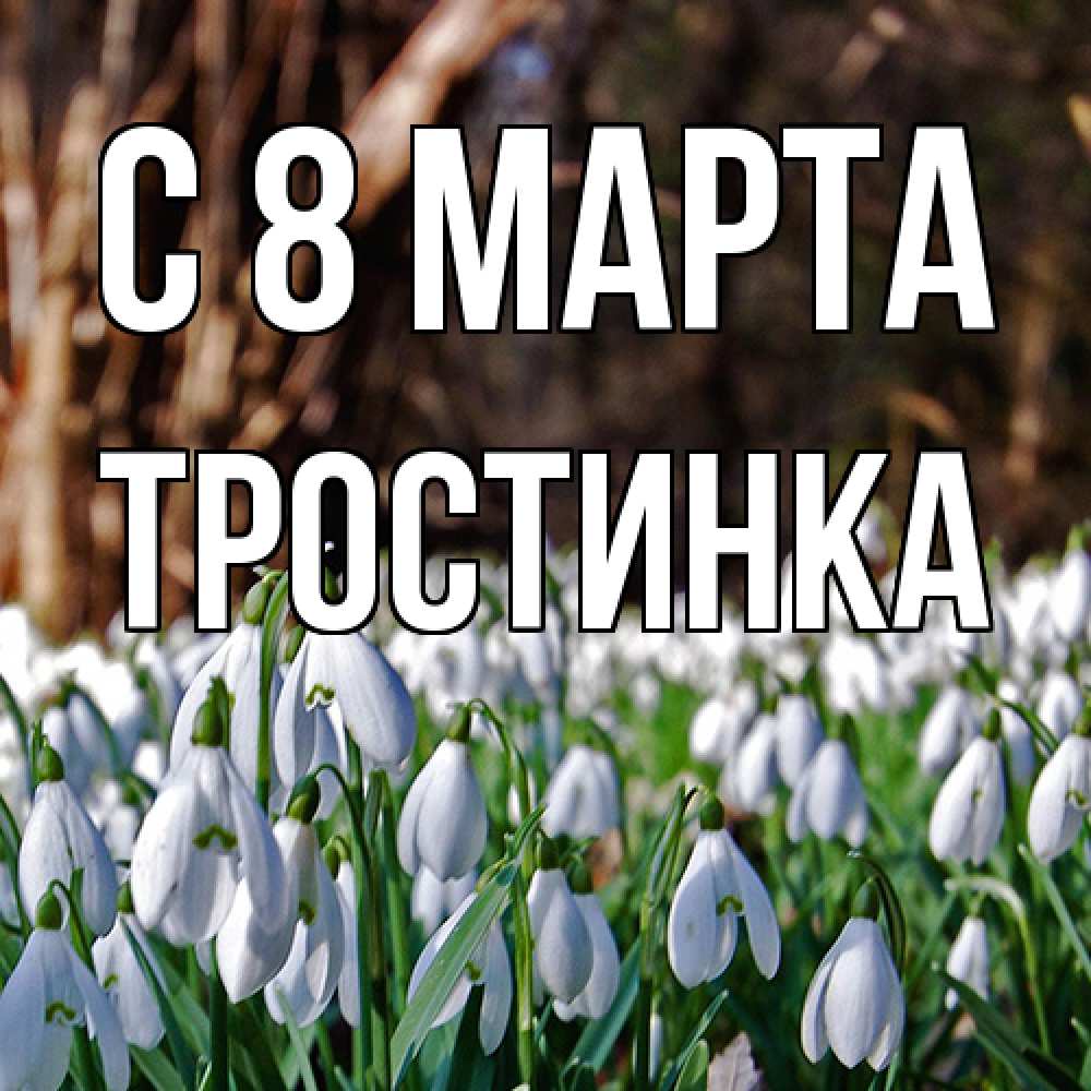 Открытка на каждый день с именем, Тростинка C 8 МАРТА с подснежниками 1 Прикольная открытка с пожеланием онлайн скачать бесплатно 