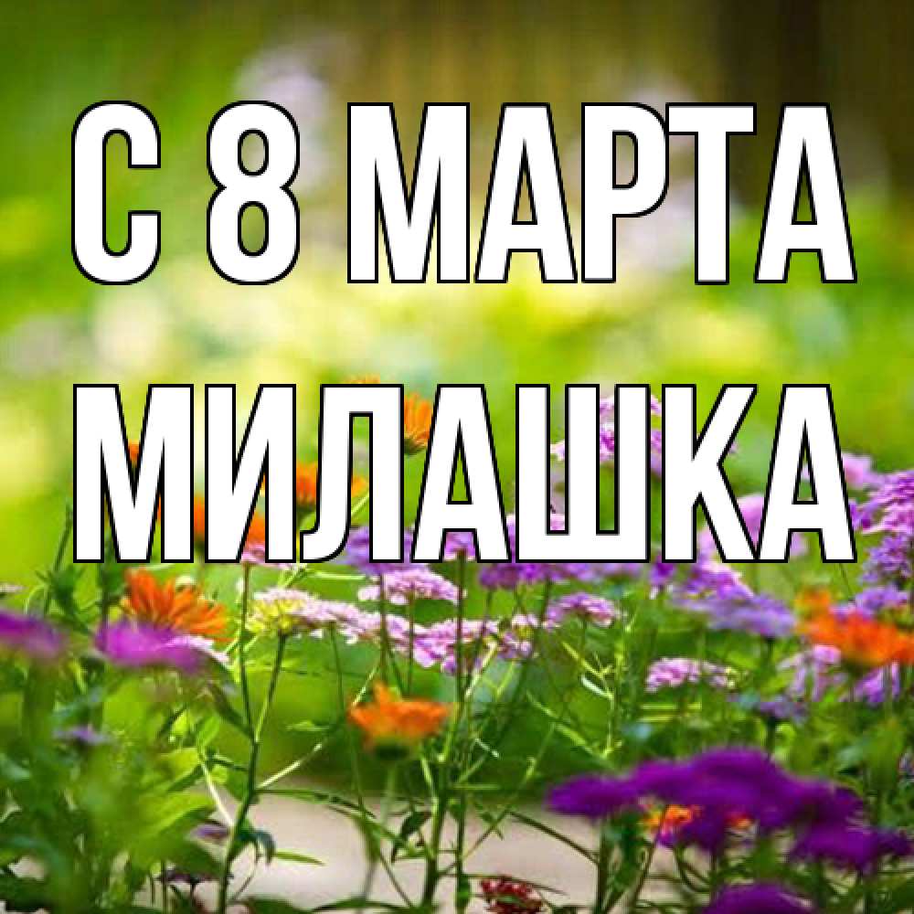 Открытка на каждый день с именем, Милашка C 8 МАРТА цветы Прикольная открытка с пожеланием онлайн скачать бесплатно 