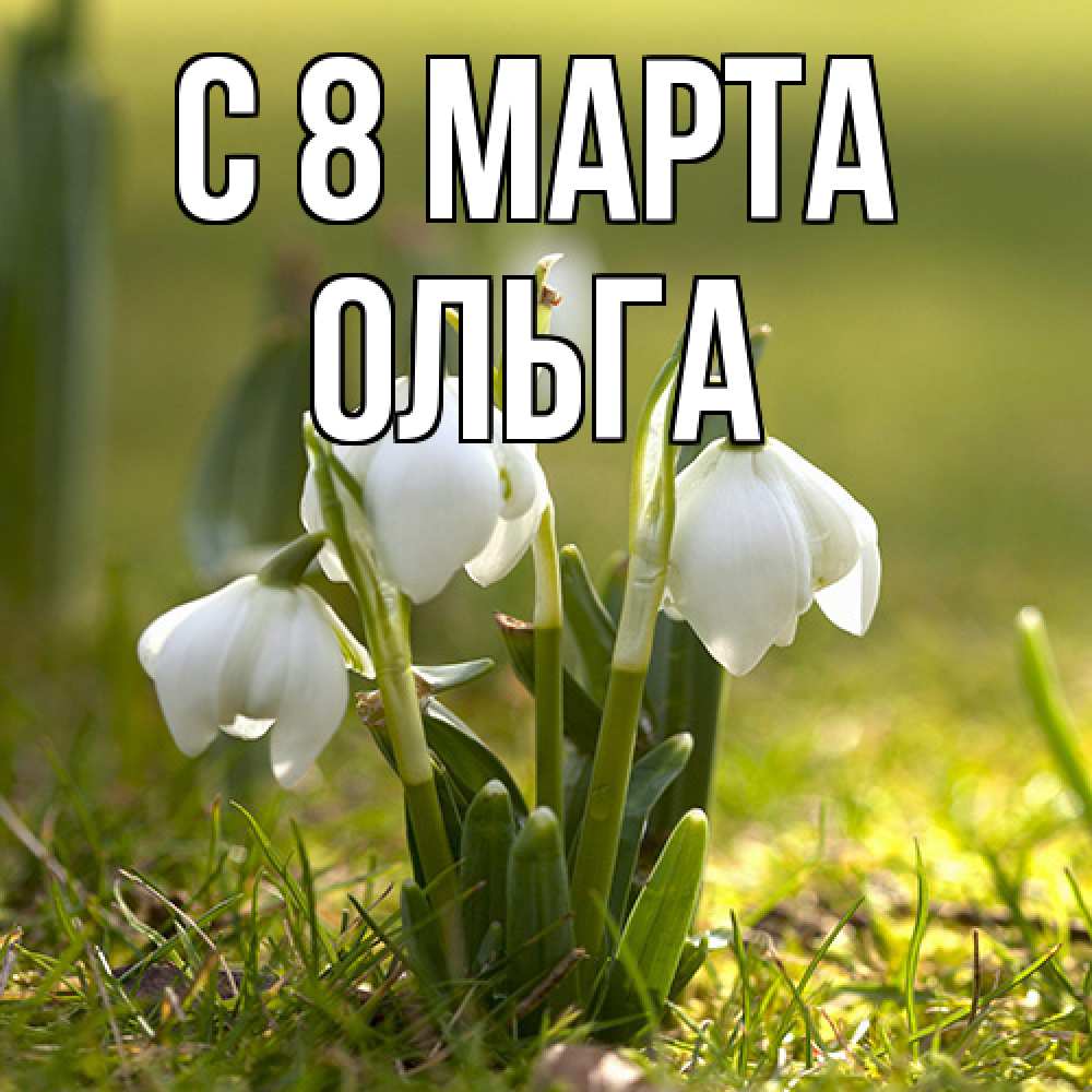 Открытка на каждый день с именем, Ольга C 8 МАРТА ранние цветы 2 Прикольная открытка с пожеланием онлайн скачать бесплатно 