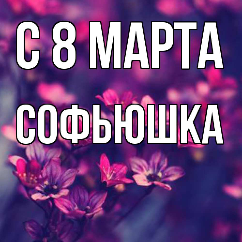 Открытка на каждый день с именем, Софьюшка C 8 МАРТА небольшие цветы 1 Прикольная открытка с пожеланием онлайн скачать бесплатно 