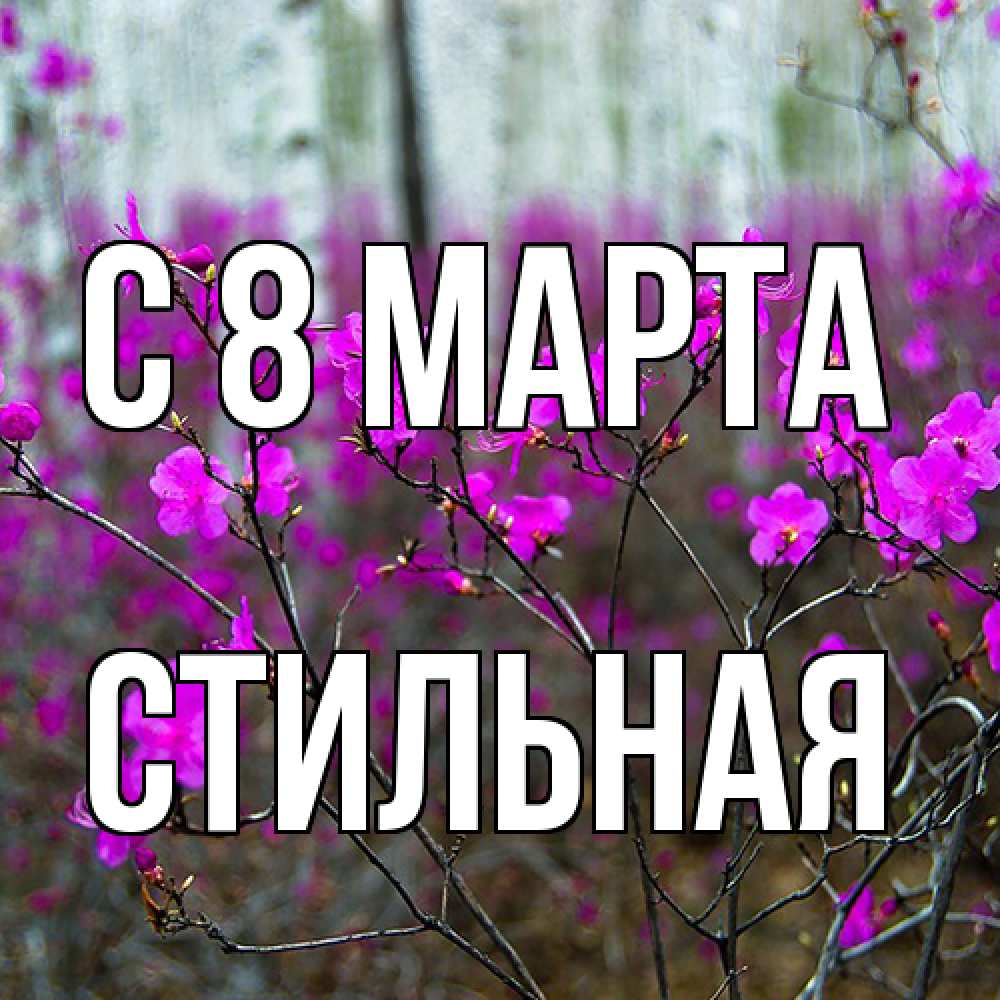 Открытка на каждый день с именем, Стильная C 8 МАРТА дикие цветы Прикольная открытка с пожеланием онлайн скачать бесплатно 