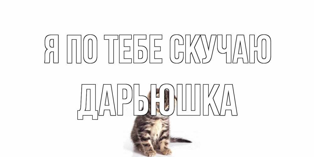 Открытка на каждый день с именем, Дарьюшка Я по тебе скучаю кот Прикольная открытка с пожеланием онлайн скачать бесплатно 