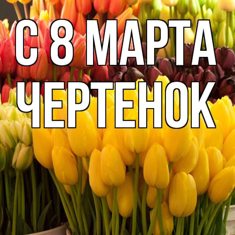 Открытка на каждый день с именем, чеpтенок C 8 МАРТА цветы Прикольная открытка с пожеланием онлайн скачать бесплатно 