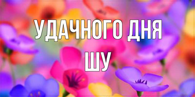 Картинка Удачного дня, Шу
