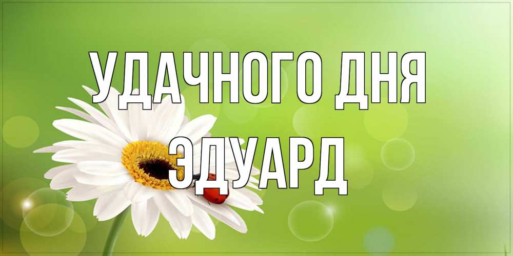 Открытка на каждый день с именем, Эдуард Удачного дня зеленый фон и ромашка Прикольная открытка с пожеланием онлайн скачать бесплатно 