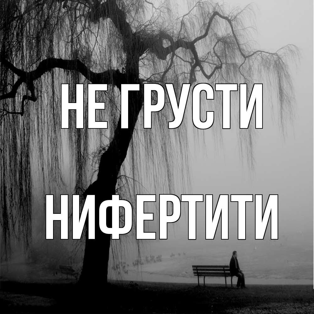 Открытка на каждый день с именем, Нифертити Не грусти висящие ветки дерева и лавочка под деревом Прикольная открытка с пожеланием онлайн скачать бесплатно 
